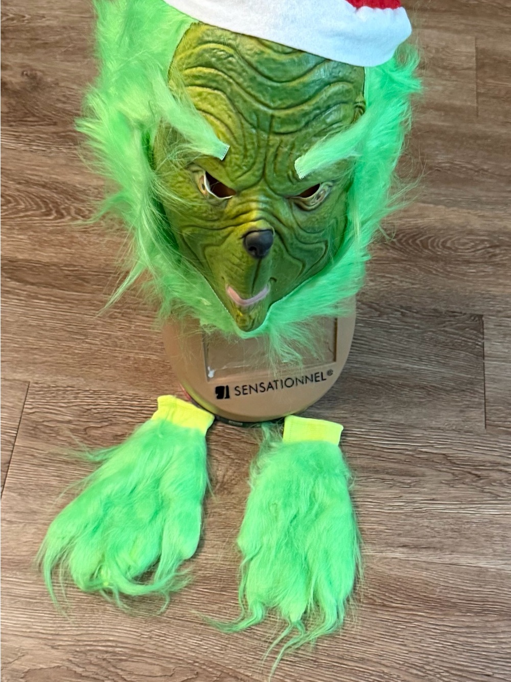 Green Holiday Grinch Mask and Gloves Set by